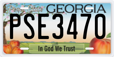 GA license plate PSE3470