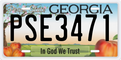 GA license plate PSE3471