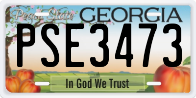 GA license plate PSE3473