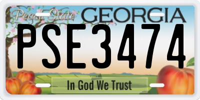 GA license plate PSE3474