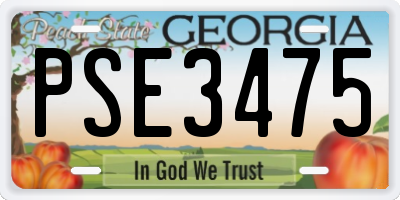 GA license plate PSE3475