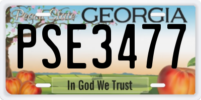 GA license plate PSE3477