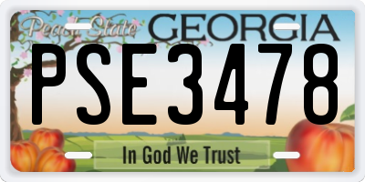 GA license plate PSE3478