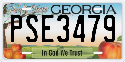 GA license plate PSE3479
