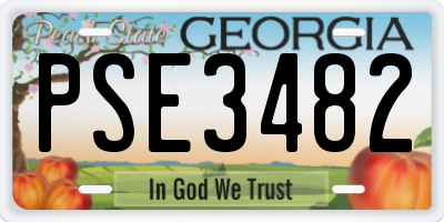 GA license plate PSE3482