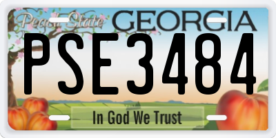GA license plate PSE3484