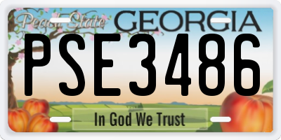 GA license plate PSE3486