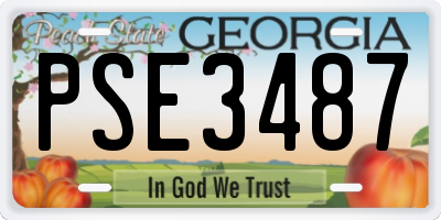 GA license plate PSE3487
