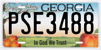 GA license plate PSE3488