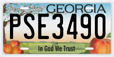GA license plate PSE3490