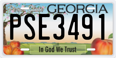 GA license plate PSE3491