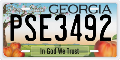 GA license plate PSE3492