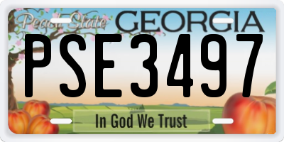 GA license plate PSE3497