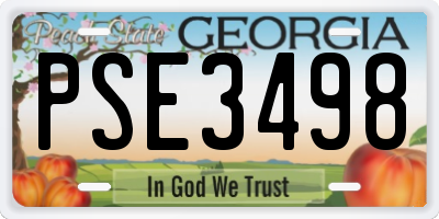 GA license plate PSE3498