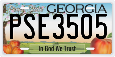 GA license plate PSE3505