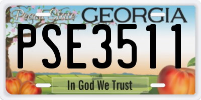 GA license plate PSE3511