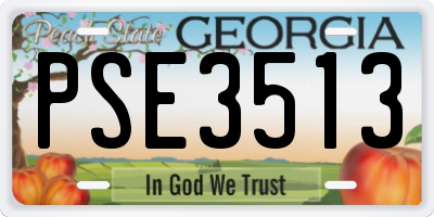 GA license plate PSE3513