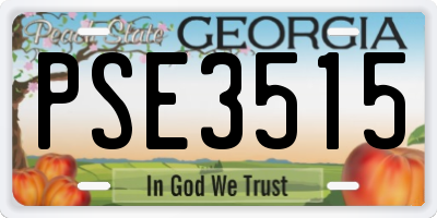 GA license plate PSE3515