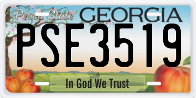 GA license plate PSE3519