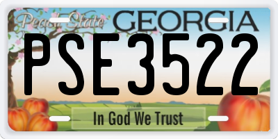 GA license plate PSE3522