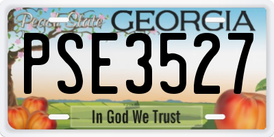 GA license plate PSE3527
