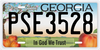 GA license plate PSE3528