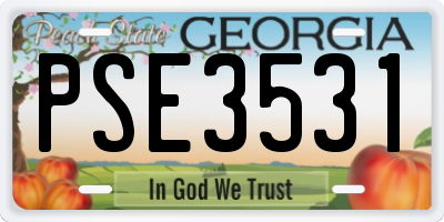 GA license plate PSE3531