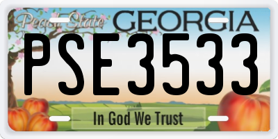 GA license plate PSE3533