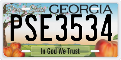 GA license plate PSE3534
