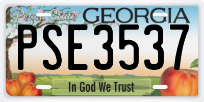 GA license plate PSE3537