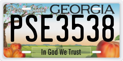 GA license plate PSE3538