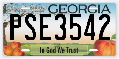 GA license plate PSE3542