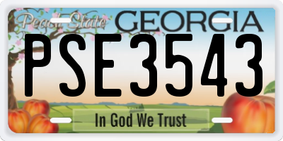 GA license plate PSE3543