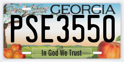 GA license plate PSE3550