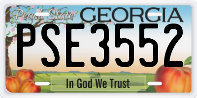 GA license plate PSE3552