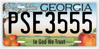 GA license plate PSE3555