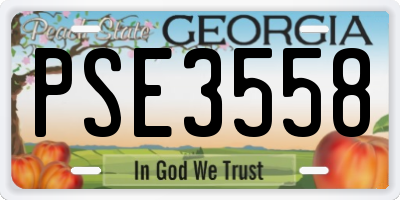 GA license plate PSE3558