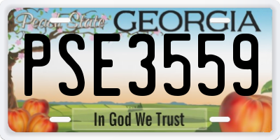 GA license plate PSE3559