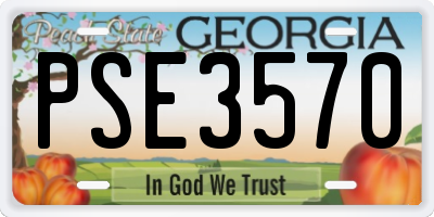 GA license plate PSE3570
