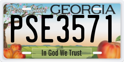 GA license plate PSE3571