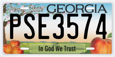 GA license plate PSE3574