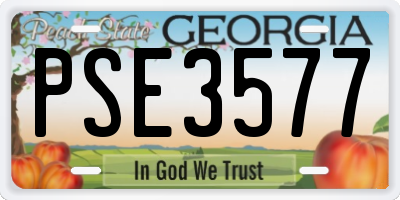 GA license plate PSE3577