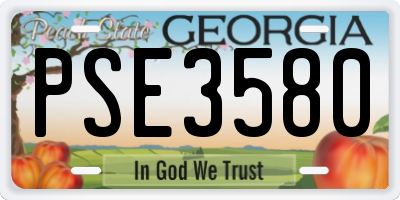 GA license plate PSE3580