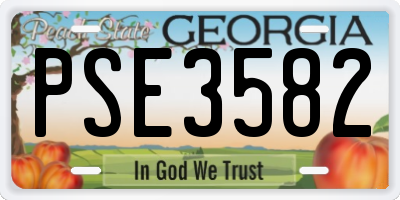 GA license plate PSE3582
