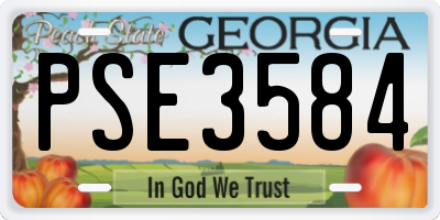 GA license plate PSE3584