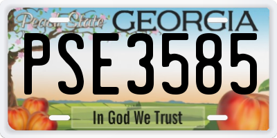 GA license plate PSE3585
