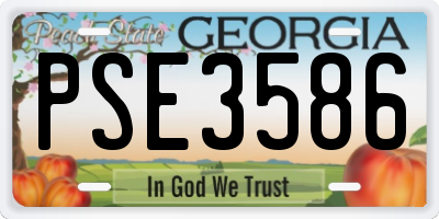 GA license plate PSE3586
