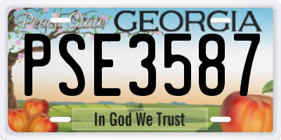 GA license plate PSE3587