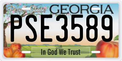 GA license plate PSE3589