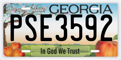 GA license plate PSE3592